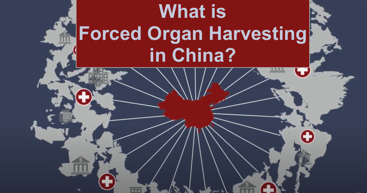 What is Forced Organ Harvesting in China? [2021 OVERVIEW]